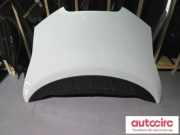 Motorhaube Nissan Leaf (ZE0) F510M3NAMB