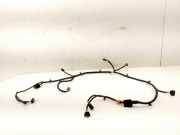 Kabelbaum Kia Niro I (DE) 91880G5050