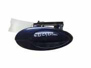 Türaußengriff hinten rechts CITROËN C5 II (RC_) 3.0 V6 (RCXFUF) 9642929080