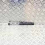 Heckklappe Gasdruckfeder links TESLA MODEL 3 EV AWD 1091560-00-B