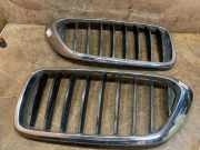Gitter BMW 6 Gran Turismo (G32) 630 d 7412421