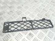 Kühlergrill unten Toyota RAV 4 II (A2) 531284203