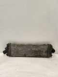 Ladeluftkühler NISSAN PRIMASTAR Furgon (X83) 1.9 dCi 80 988650BB 93854162