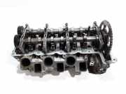 Motorkopf AUDI Q5 (8R) 3.0 TDI quattro 059109130AG