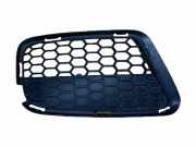 Gitter vorne unten BMW X1 (E84) xDrive 20 d 51117845542