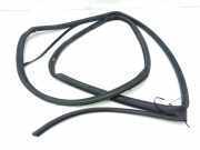 Türgummi links hinten Mercedes-Benz C-Klasse (W203) 2037370335