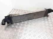 Ladeluftkühler Ford Focus II (DA, DP, HCP)