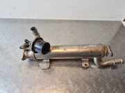 Abgaskühler VW Passat B6 (3C2) 03L131512B