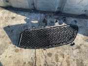 Gitter vorne unten MERCEDES-BENZ A (W176) A 200 CDI / d (176.008) A1768851622
