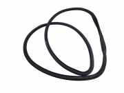 Türgummi links vorne Opel Insignia A (G09)