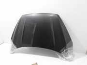 Motorhaube Ford Kuga II (DM2) GV41S16612BD
