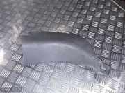 Zierleiste Nissan Leaf (ZE0) 669013NA0A