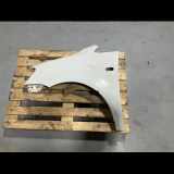 Kotflügel vorne links