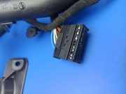 Türverkabelung hinten links BMW 7 (E65, E66, E67) 730 Ld 13318810 6913143