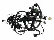 Motor Kabelbaum BMW 3 (F30, F80) 320 d 7811938