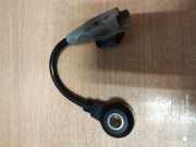 Klopfsensor CITROËN C5 III (RD_) 2.0 HDi