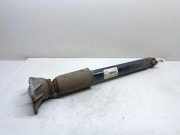 Stoßdämpfer hinten links BMW 1 (F20) 118 d 6791586