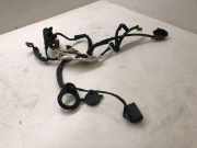 Türverkabelung hinten rechts VOLVO S80 II (AS) D5 AWD 30795067