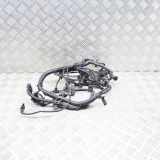 Motor Kabelbaum BMW X4 (G02, F98) xDrive20i 8694038 7639968