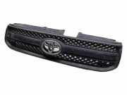 Vorderer oberer Gitter TOYOTA RAV 4 III (_A3_) 2.0 (ZSA35_) 0842342150
