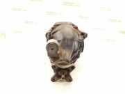 Differenzialgetriebe hinten MERCEDES-BENZ E (W213) AMG E 43 4-matic (213.064) 2133506205