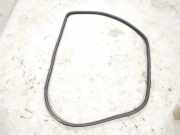 Türgummi links vorne Mercedes-Benz R-Klasse (W251) 2516900076