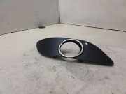 Nebelscheinwerferverkleidung MERCEDES-BENZ B (W245) B 200 CDI (245.208) A1698851222 211000028