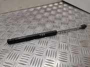 Heckklappe Gasdruckfeder rechts VW PASSAT B6 (3C2) 1.9 TDI 91193390N