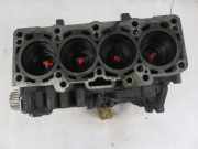 Motorblock Skoda Fabia II (542) CAYA