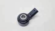 Klopfsensor Nissan Qashqai II (J11) 220608897R