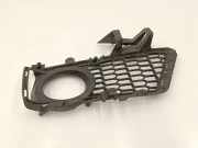 Gitter vorne unten BMW 3 (F30, F80) 320 i 8062631
