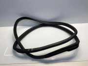 Türdichtung Mercedes-Benz GLK-Klasse (X204) A2046971151
