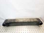 Ladeluftkühler BMW 5er (E39) 17512247359