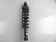 Stoßdämpfer rechts hinten Dodge Caliber () 614024JP