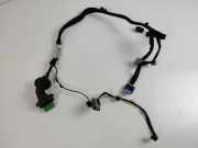 Türverkabelung hinten links CITROËN DS5 2.0 BlueHDi 180 9801373180