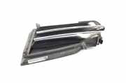 Kühlergrill links Tesla Model S (5YJS) 100726800E