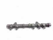 KRAFTSTOFFVERTEILER EINSPRITZLEISTE VERTEILERROHR FIAT 500L (351_, 352_) 1.3 D Multijet 55234437