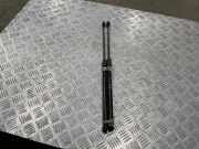 Heckklappe Gasdruckfeder links AUDI A3 Cabrio (8V7, 8VE) 2.0 TDI 8V482755203S