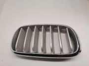 Vorderer oberer Gitter BMW X5 (F15, F85) M 50 d 7316076