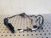 Kabel Tür VW Passat B8 Variant (3G) 3G0971693F