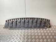 Stoßstangenabdeckung vorne Skoda Fabia III (NJ) 6V0807611