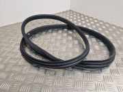 Türgummi links hinten Renault Clio III (BR0/1, CR0/1)