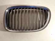 Vorderer oberer Gitter BMW 7 (F01, F02) 730 d 5113721165704