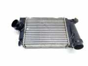 Ladeluftkühler RENAULT KADJAR (HA_, HL_) 1.2 TCe 130 MM117X8 144614EA1B