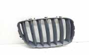 Vorderer oberer Gitter BMW X5 (E53) 3.0 d 7124816