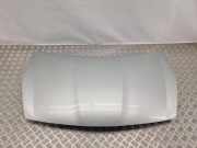 Motorhaube HYUNDAI i20 (PB, PBT) 1.4 CRDi
