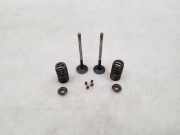 Auslassventile BMW 5 (F10) 550 i xDrive