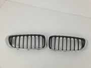 Vorderer oberer Gitter BMW 4 Gran Coupe (F36) 420 d 8294817