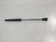 Heckklappe Gasdruckfeder links RENAULT MEGANE III Coupe (DZ0/1_) 1.2 TCe 7700842256