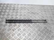 Gasfeder für Motorhaube Peugeot 607 ()